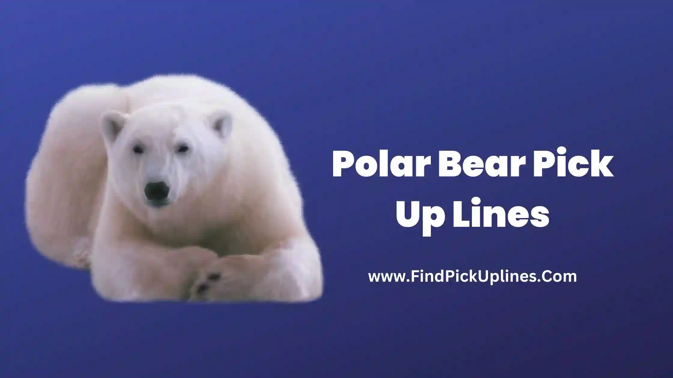 Polar Bear Pick Up Lines