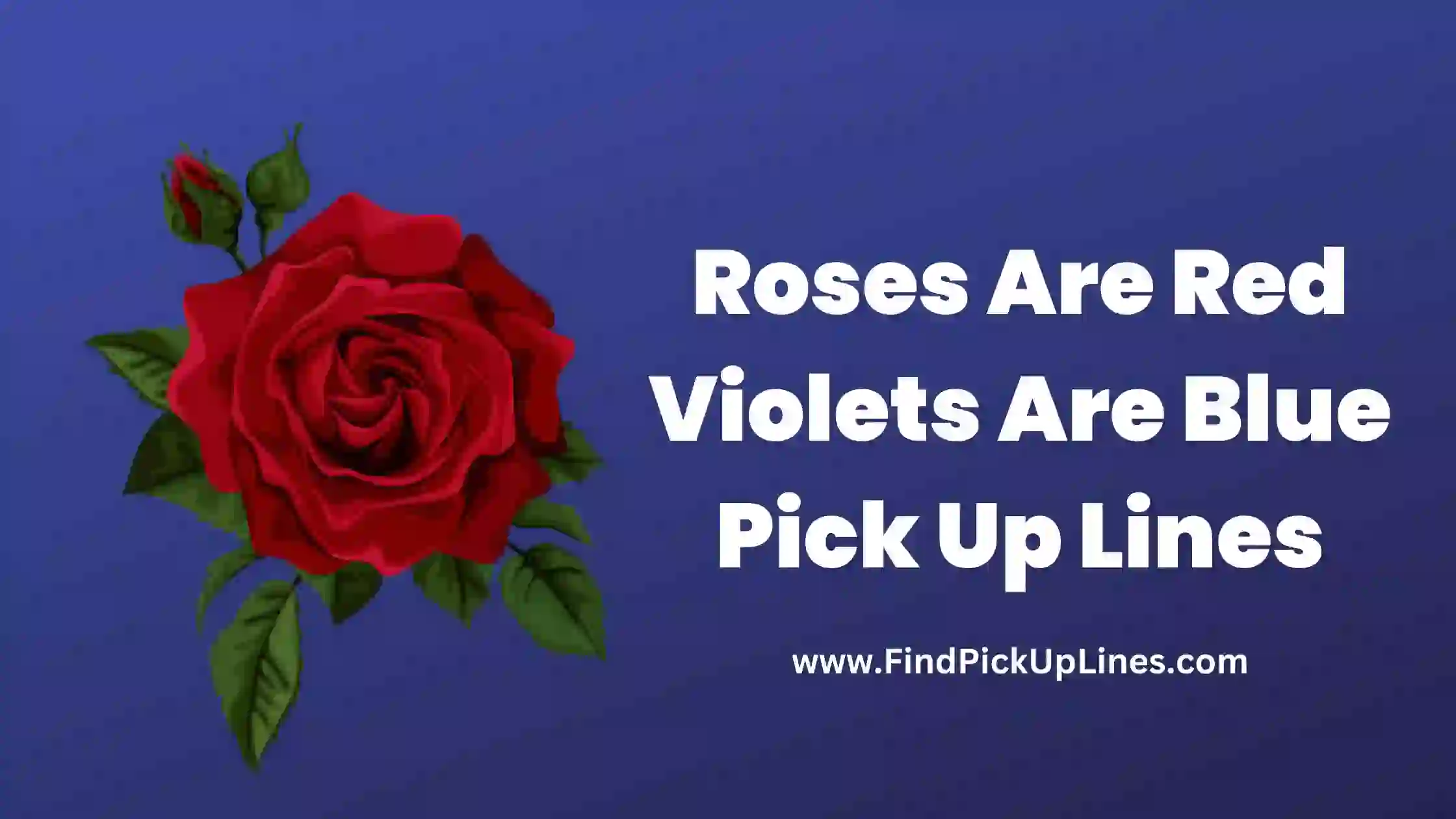 Roses Are Red Violets Are Blue Pick Up Lines